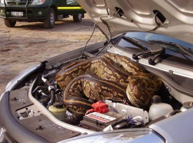 What Is Going On Here? (48 pics)