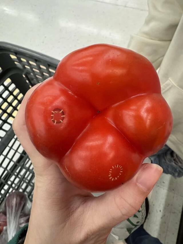 Unexpected Finds (20 pics) Unexpected Finds (20 pics)