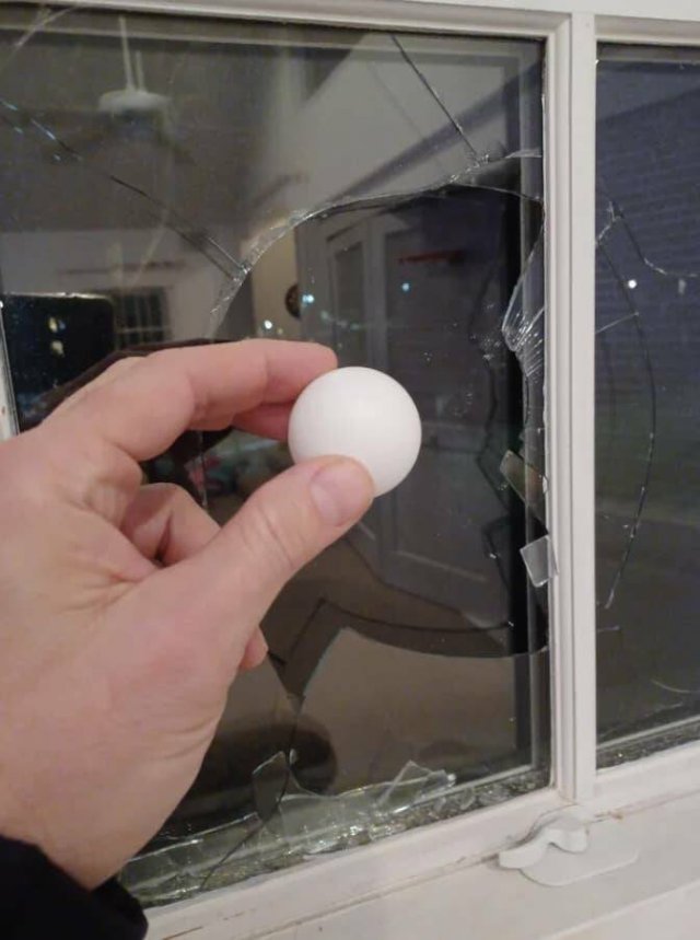 Annoying Finds And Situations (17 pics)