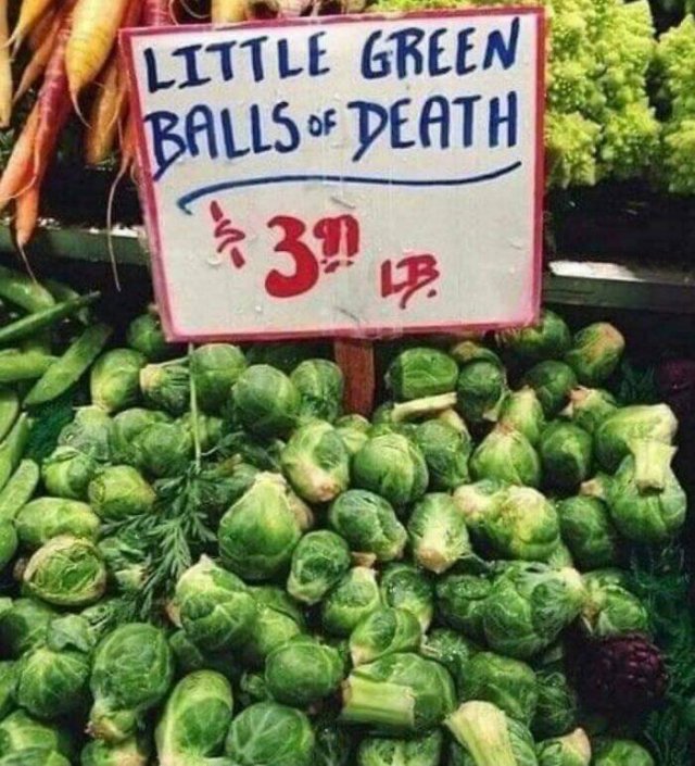 Funny Signs (23 pics)