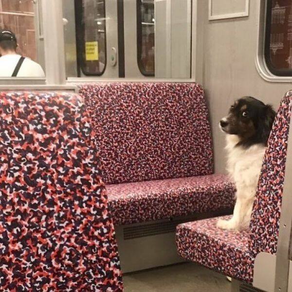 Strange People In The Subway (15 pics)