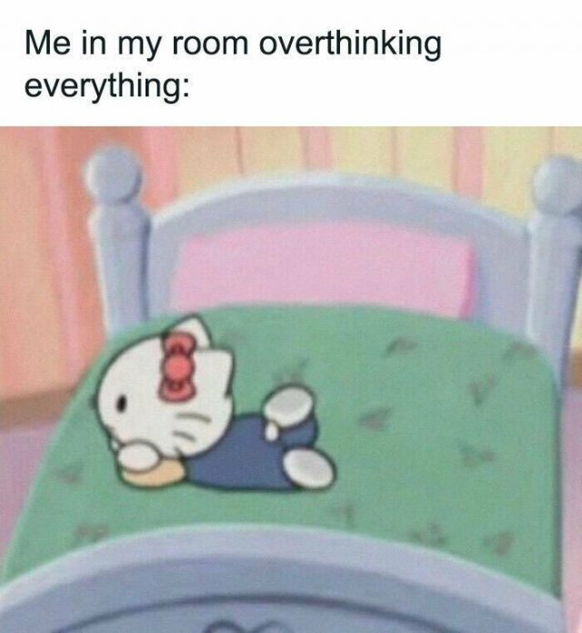 Memes For Introverts (24 pics)