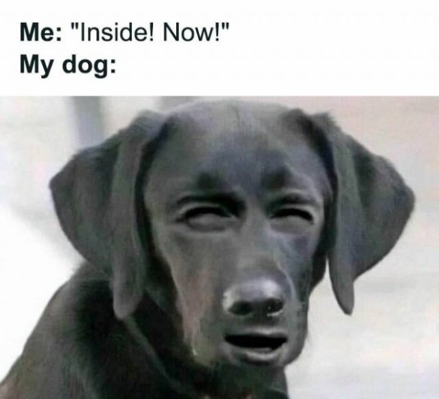 Memes For Introverts (24 pics)