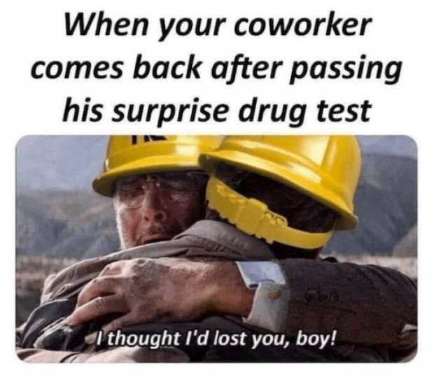 Work Memes (23 pics)