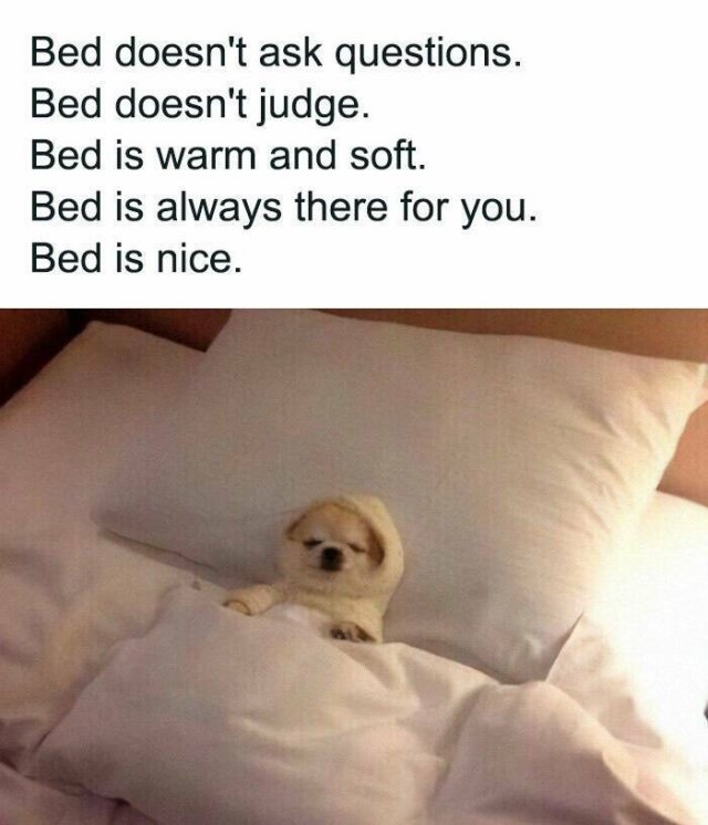 Memes For Introverts (24 pics)