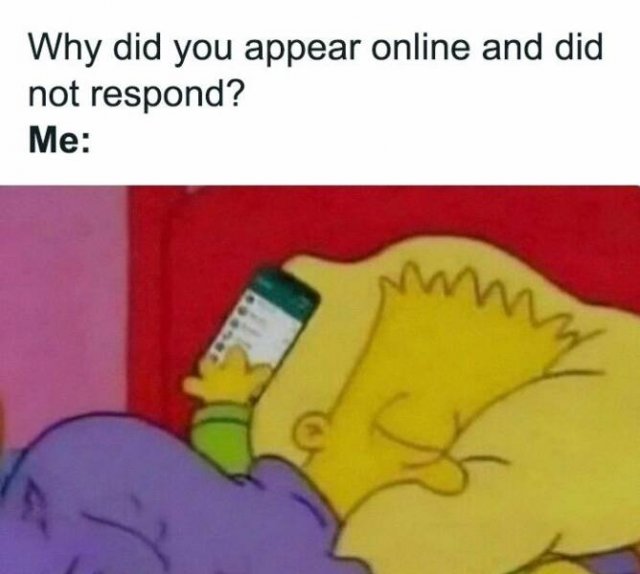 Memes For Introverts (24 pics)