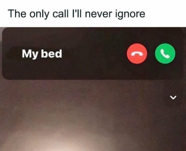 Memes For Introverts (24 pics)