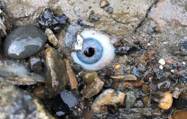 Creepy Finds (14 pics)
