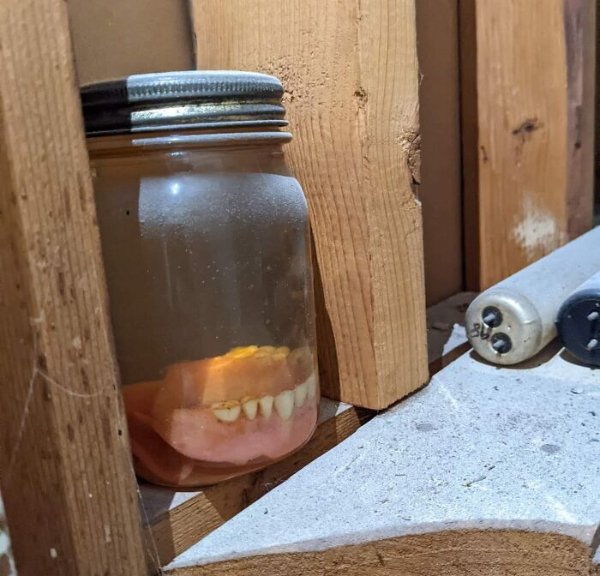 Creepy Finds (14 pics)