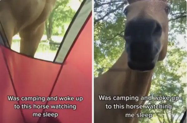 Creepy Photos And Situations (19 pics) Creepy Photos And Situations (19 pics)