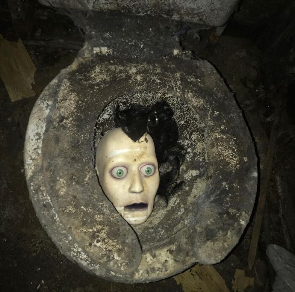 Creepy Finds (14 pics)