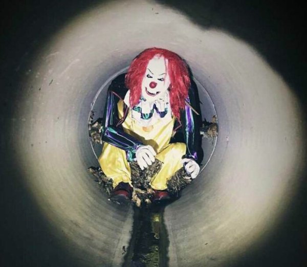 Creepy Finds (14 pics)