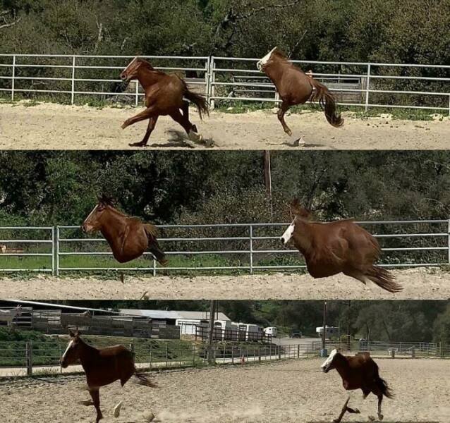Funny And Unfortunate Panoramic Photos (27 pics)