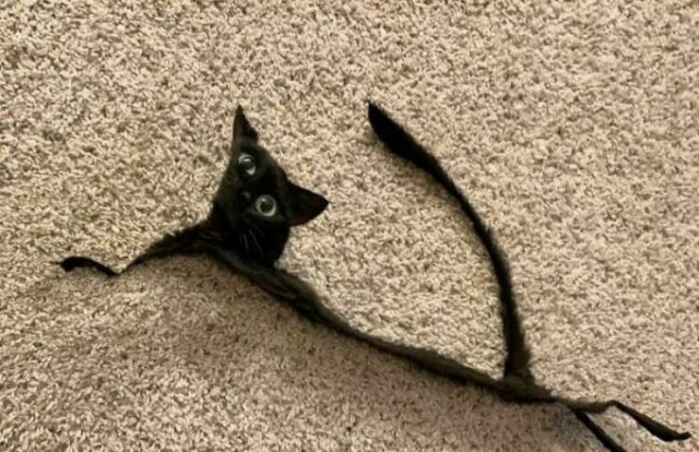 Funny And Unfortunate Panoramic Photos (27 pics)