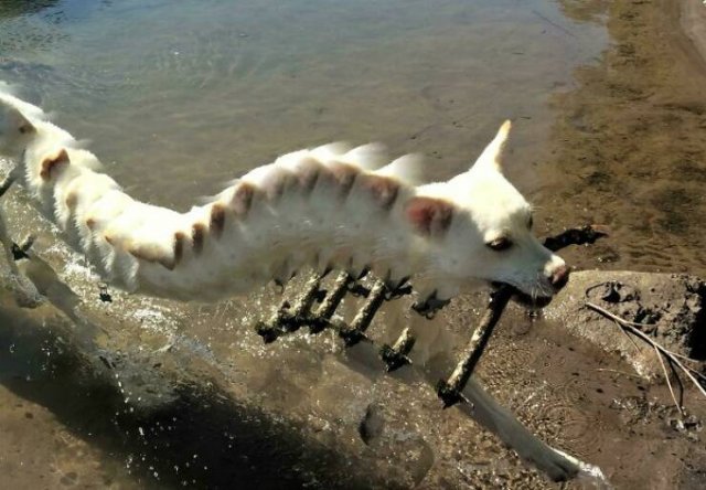 Funny And Unfortunate Panoramic Photos (27 pics)