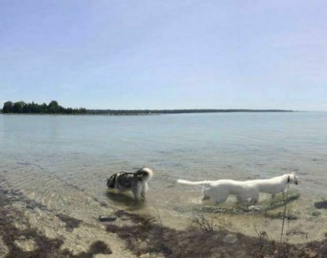 Funny And Unfortunate Panoramic Photos (27 pics)