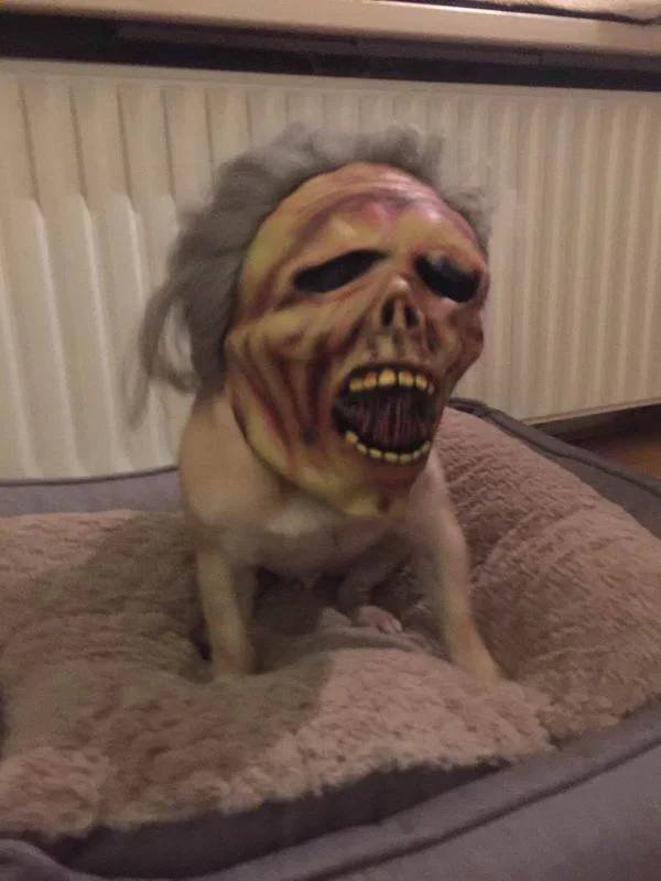 Creepy Finds (32 pics)