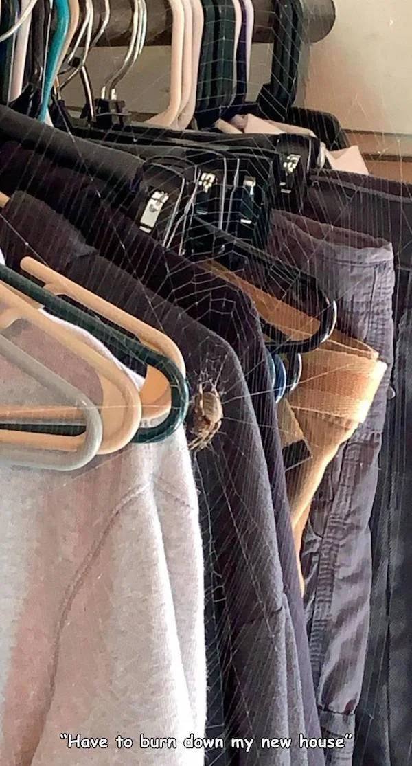 Creepy Finds (32 pics)