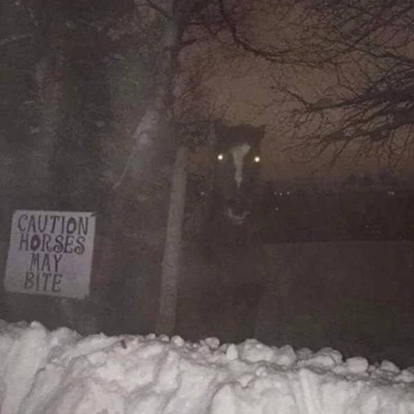 Creepy Finds (32 pics)