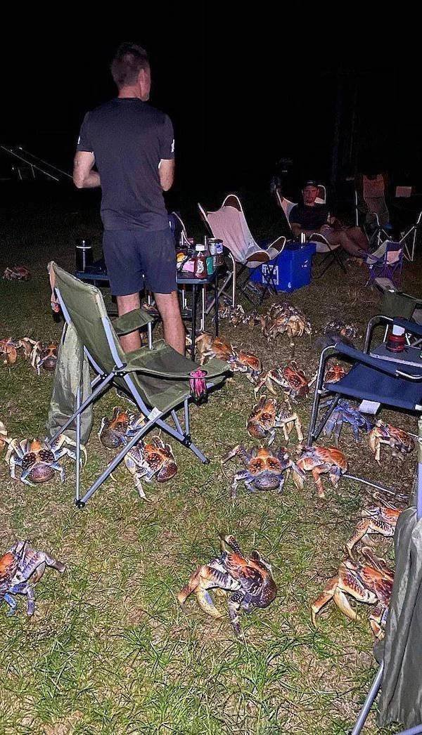 Creepy Finds (32 pics)