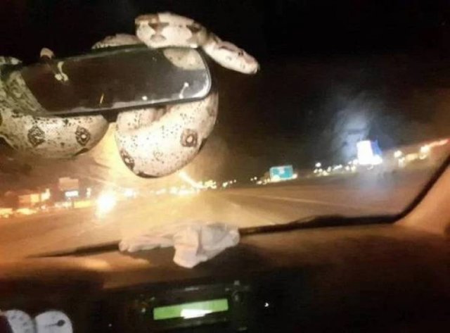 Creepy Finds (32 pics)
