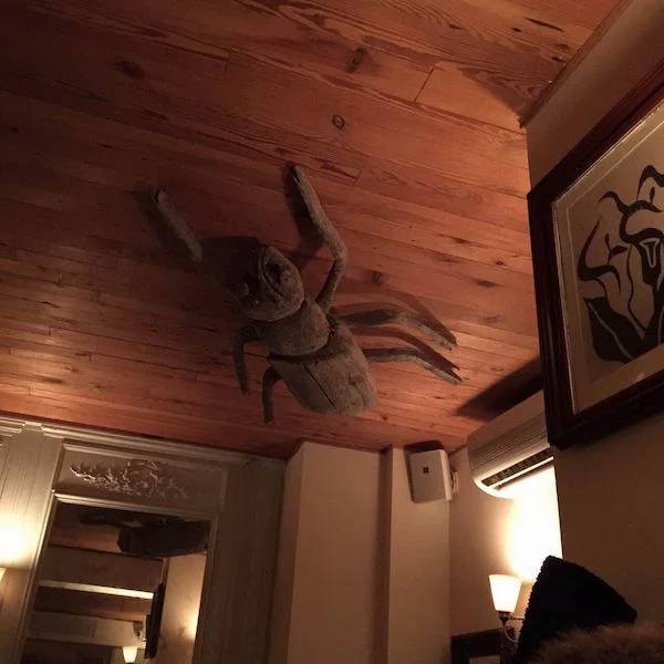 Creepy Finds (32 pics)
