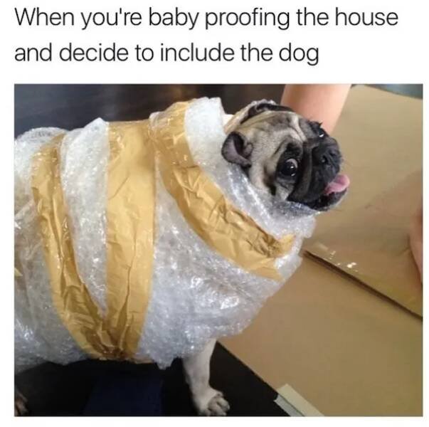 Funny Memes About Parenthood (27 pics)