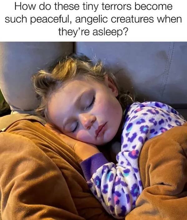 Funny Memes About Parenthood (27 pics)
