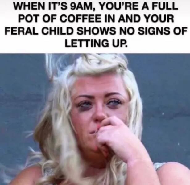 Funny Memes About Parenthood (27 pics)