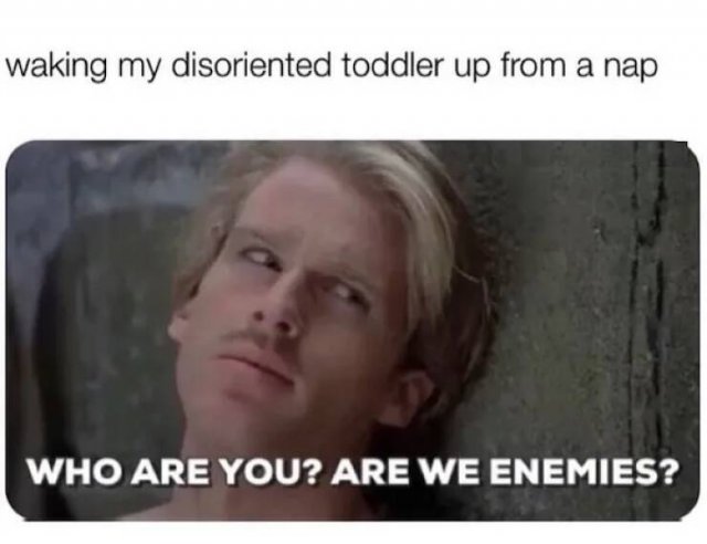 Funny Memes About Parenthood (27 pics)