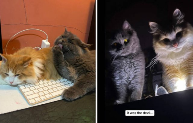 At Night They Turn Into Demons (21 pics)