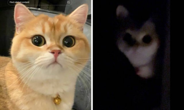At Night They Turn Into Demons (21 pics)