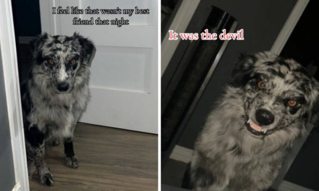 At Night They Turn Into Demons (21 pics)