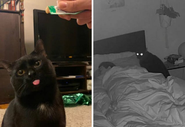 At Night They Turn Into Demons (21 pics)