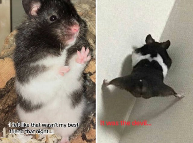 At Night They Turn Into Demons (21 pics)