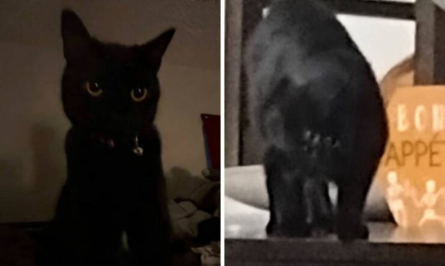 At Night They Turn Into Demons (21 pics)
