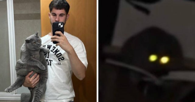 At Night They Turn Into Demons (21 pics)