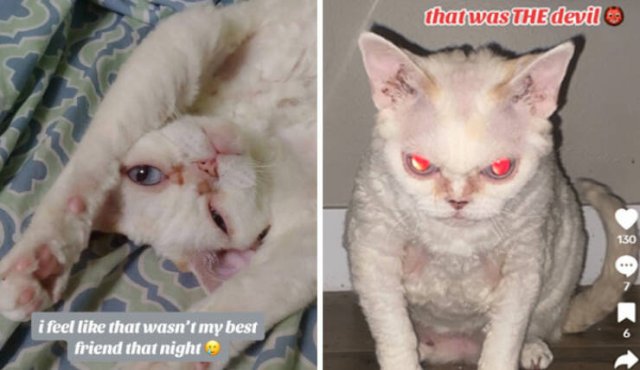 At Night They Turn Into Demons (21 pics)
