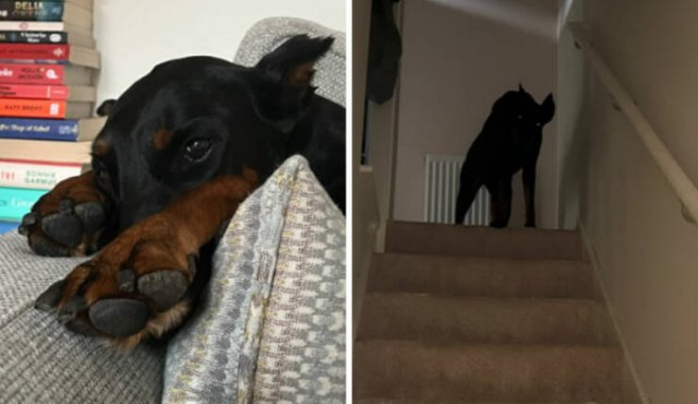 At Night They Turn Into Demons (21 pics)