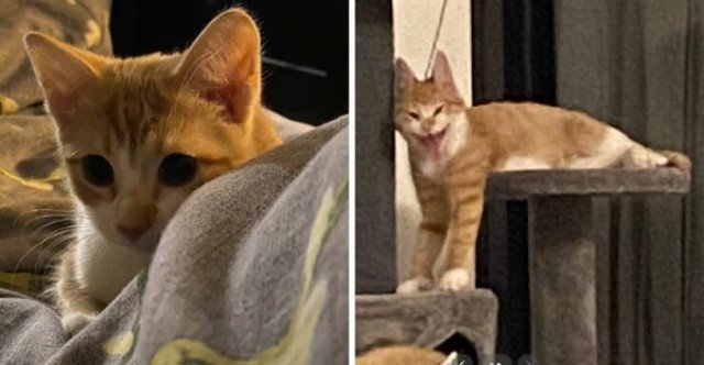 At Night They Turn Into Demons (21 pics)