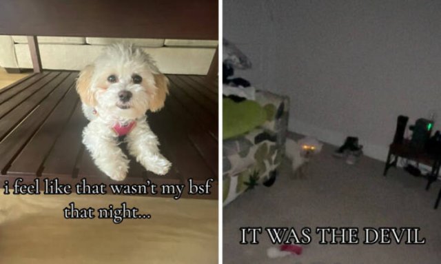 At Night They Turn Into Demons (21 pics)