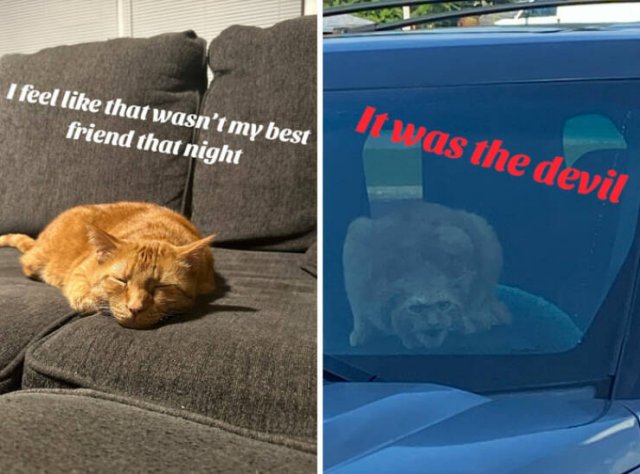 At Night They Turn Into Demons (21 pics)