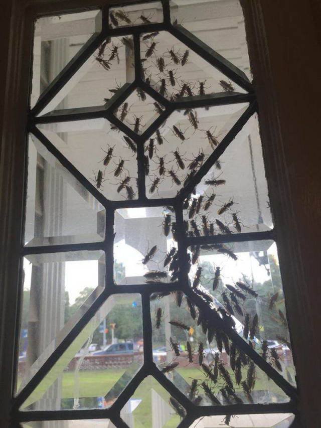 What Is Going On Here? (55 pics)