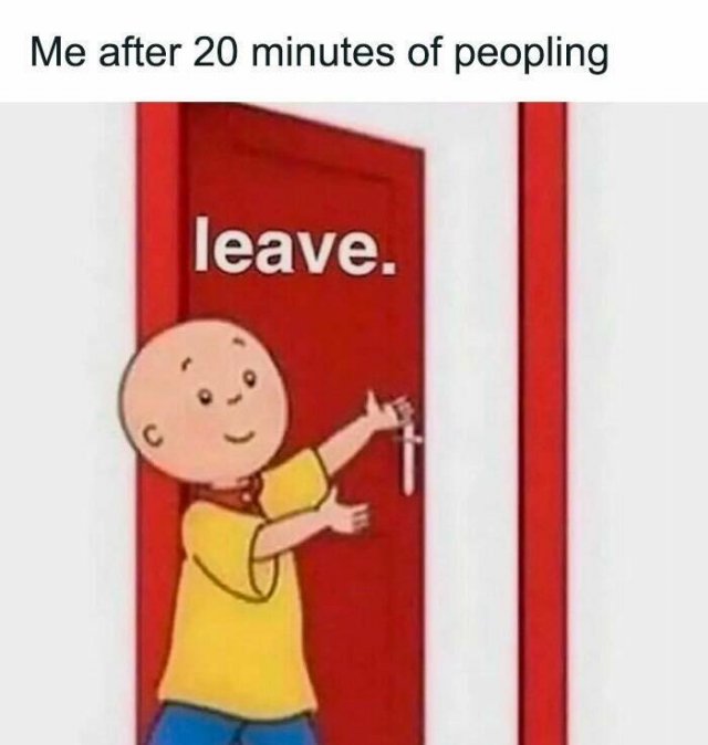 Memes For Introverts (21 pics)