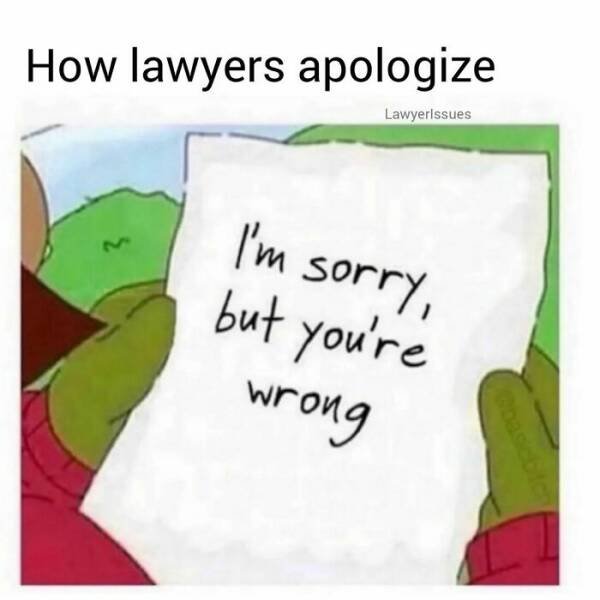 Memes About Lawyers (24 pics)