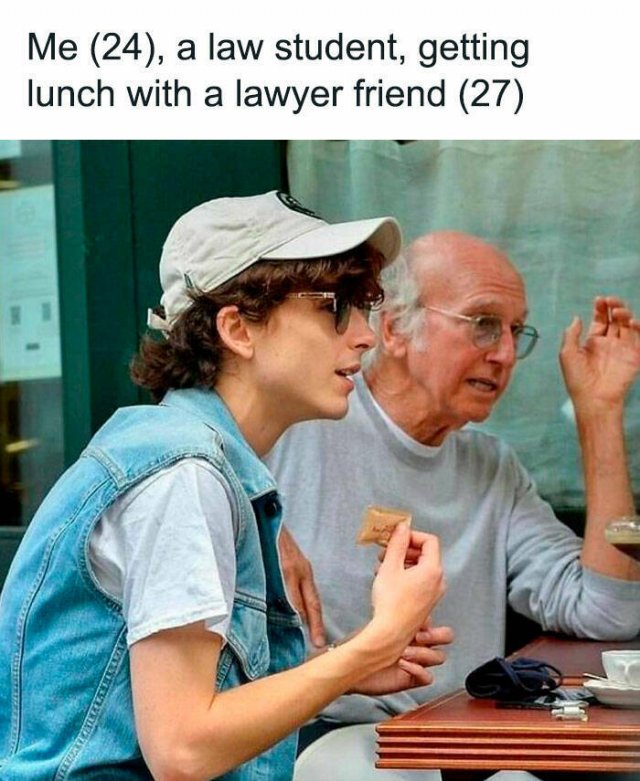 Memes About Lawyers (24 pics)