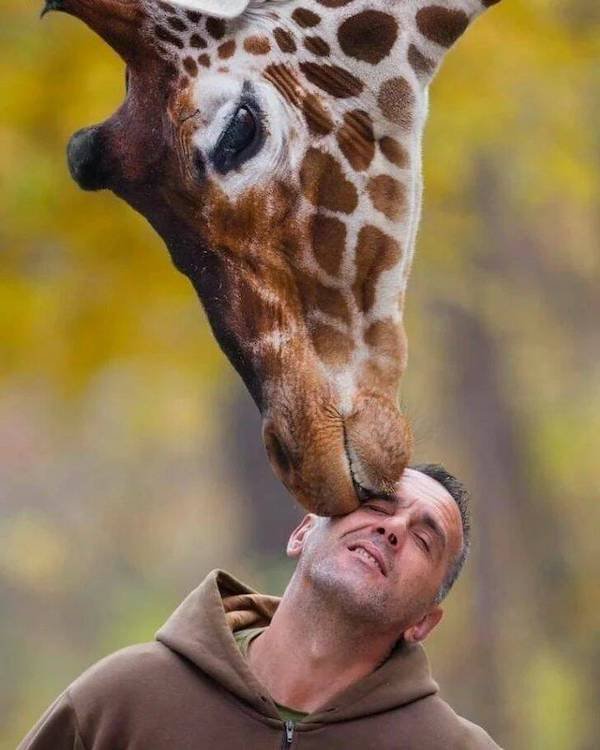 Funny Animals (56 pics)