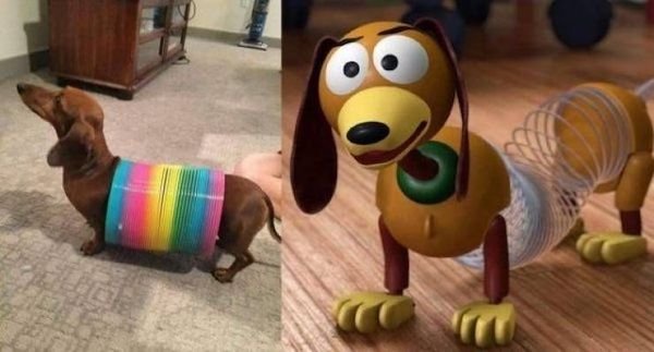 Funny Animals (56 pics)