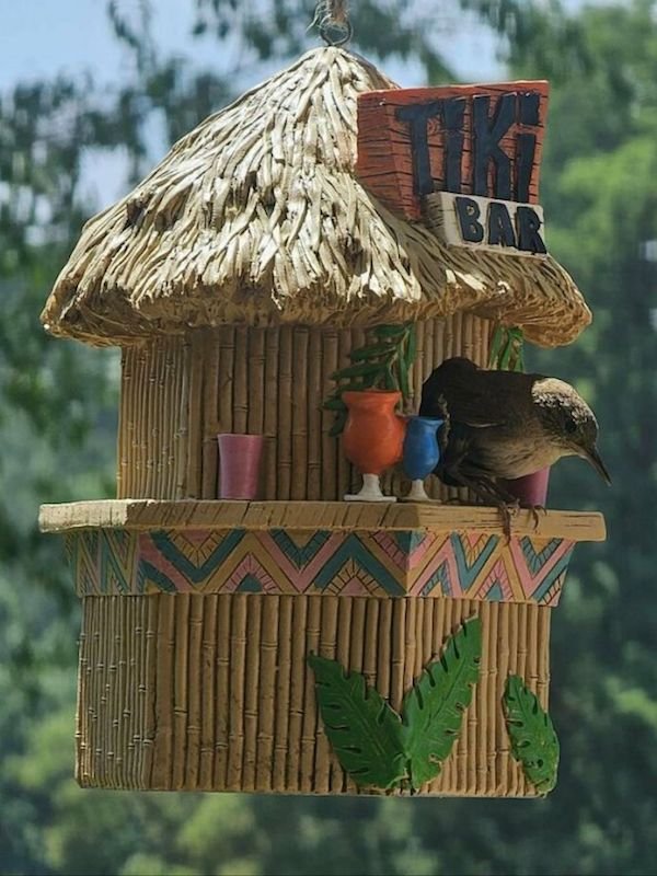 Funny Animals (56 pics)