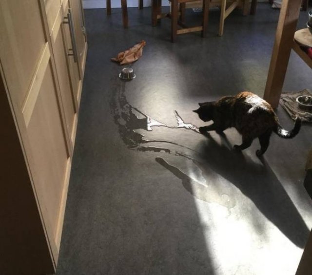 They Are Very Arrogant (22 pics)
